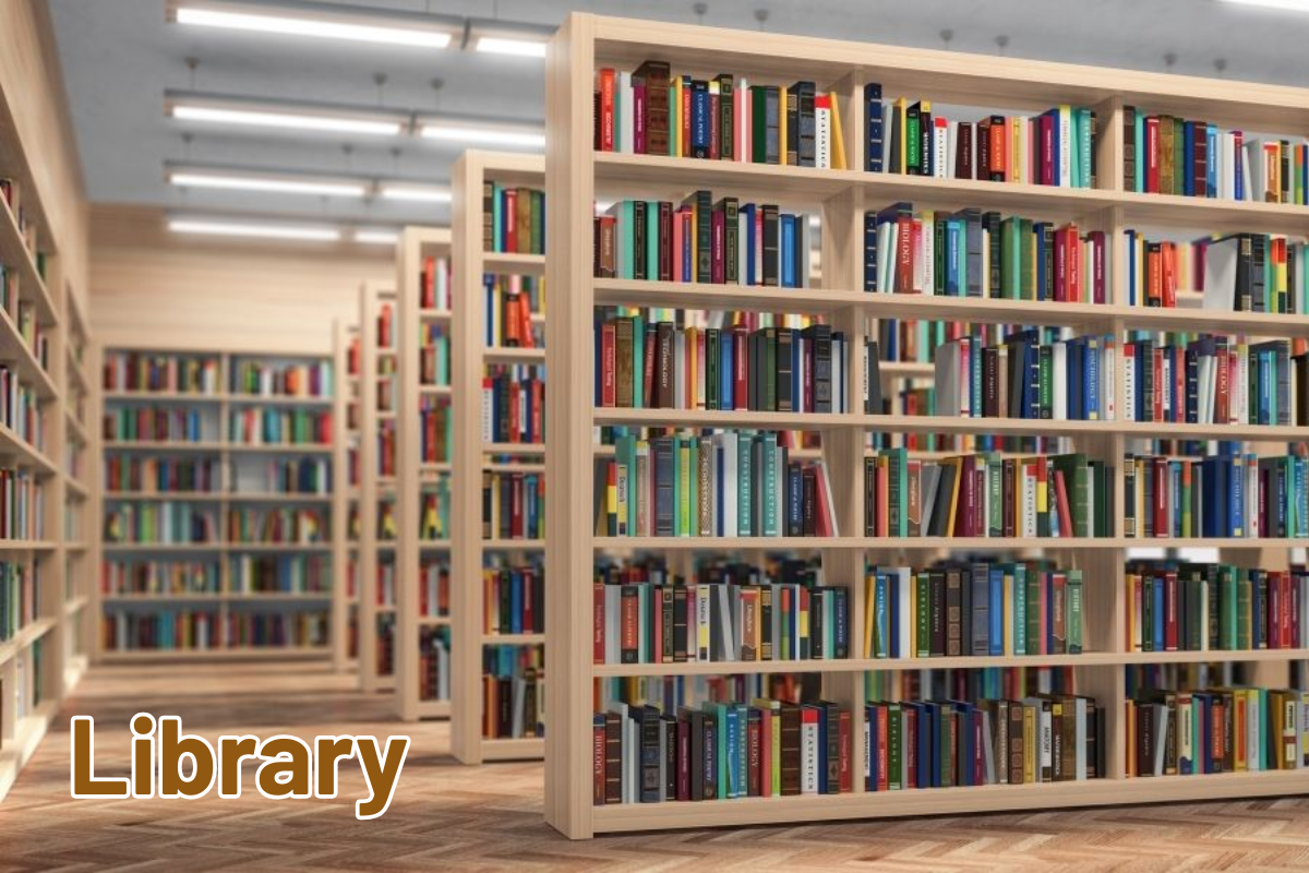 Library (2)